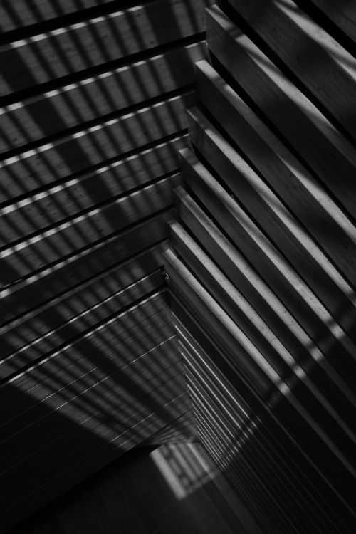 Free Intriguing black and white abstract image with shadow patterns and geometric shapes creating a unique visual texture. Stock Photo