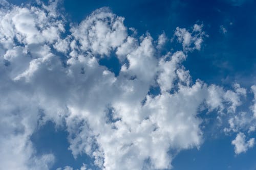 Gratis arkivbilde med blå himmel, hvite-skyer, luftig Arkivbilde
