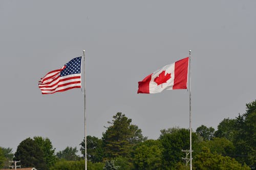 Kostenloses Stock Foto zu amerikanische flagge, bäume, fahnen