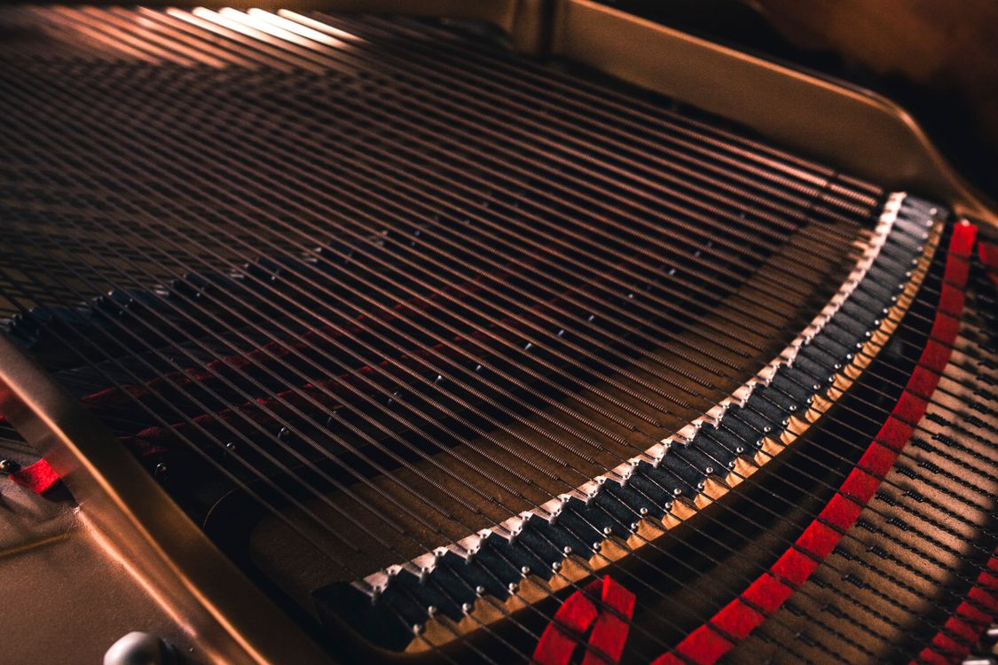 Music Instruments Zoomed In Closeup Photography of Instrument ยท Free Stock Photo
