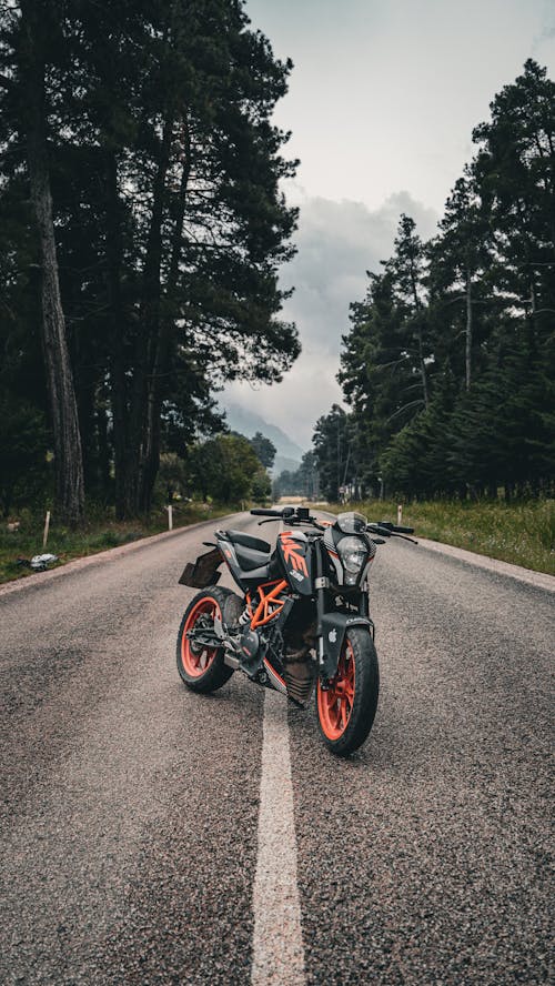 Foto d'estoc gratuïta de bicicleta nua, bosc, carretera