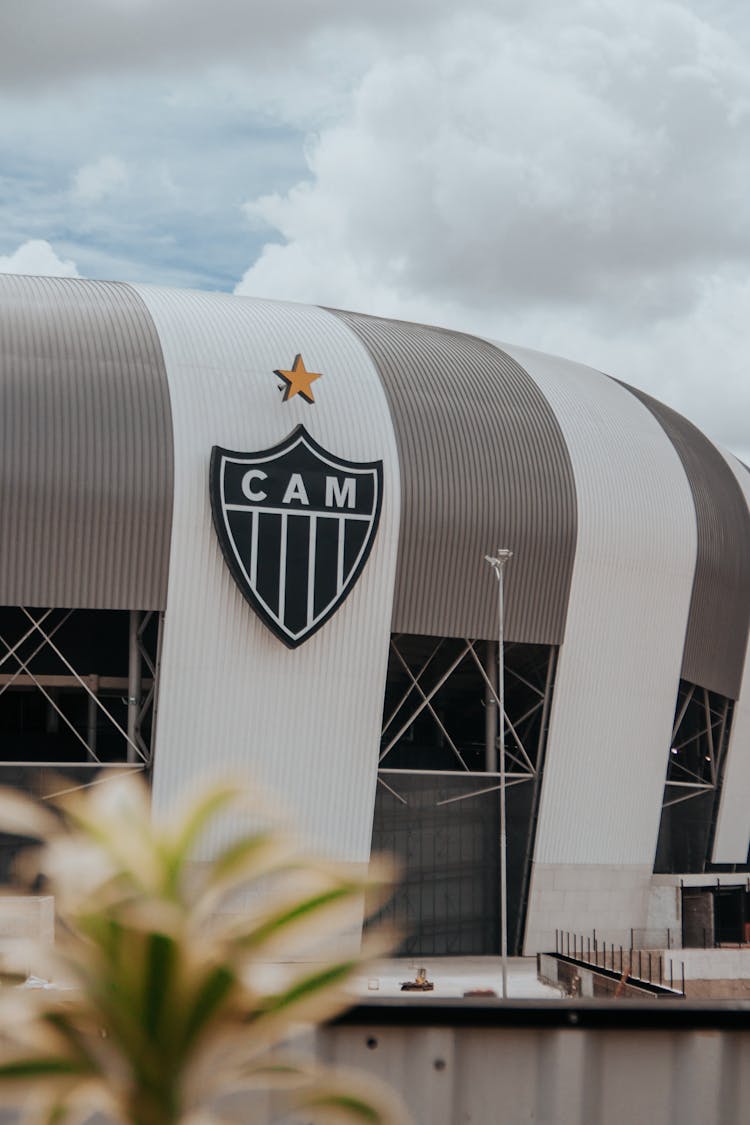 Building Of Estadio Mineirao