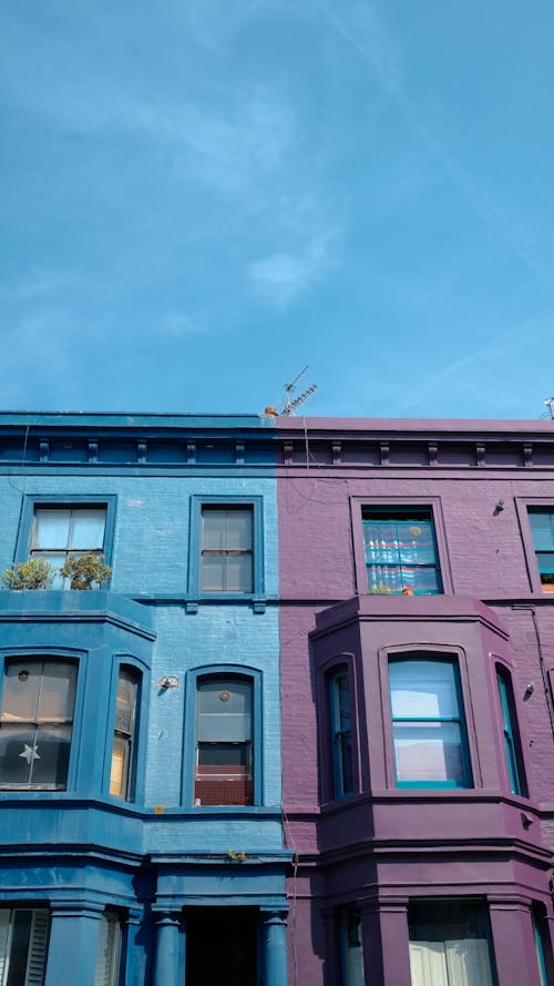 Základová fotografie zdarma na téma budovy, domy, fialová
