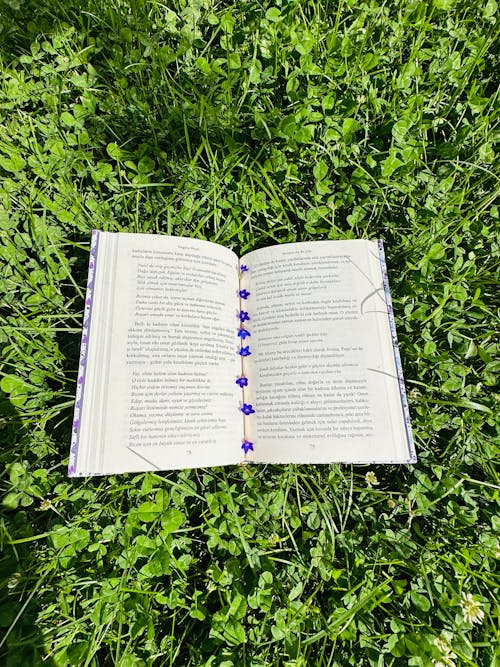 Open Book Lying Down on Grass