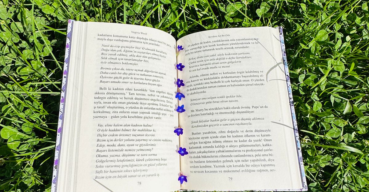 Layed Open Book Open Book Lying Down on Grass · Free Stock Photo