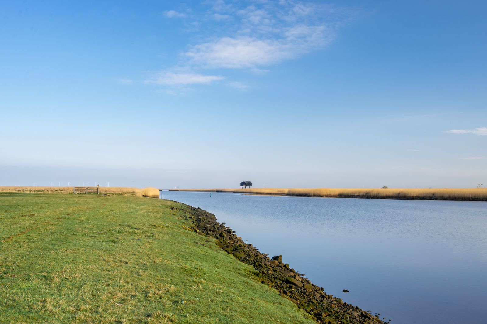 Langs de Rijn kunt u vlak fietsen