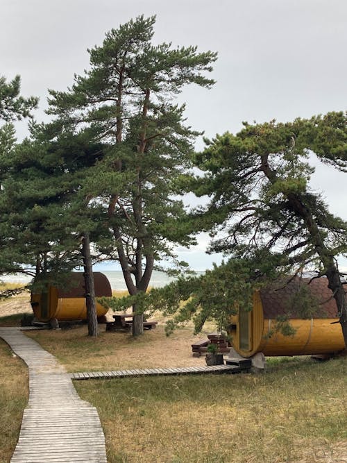 Tube-shaped Huts among Trees