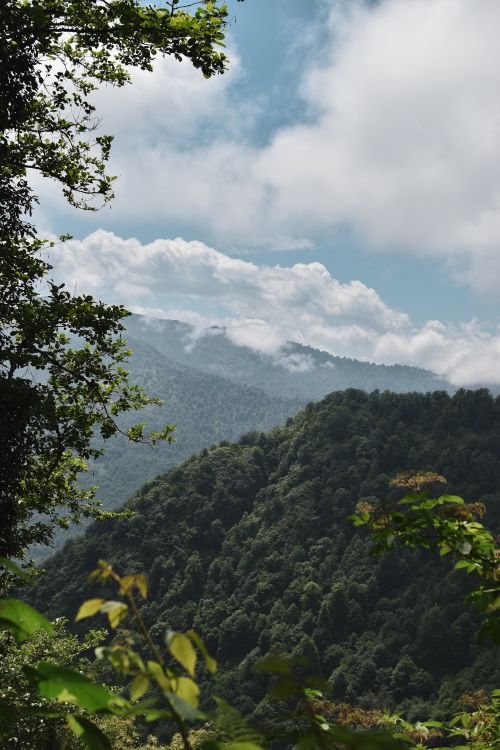 Free Scenic aerial view of a green forest with mountains and clouds under a blue sky. Stock Photo