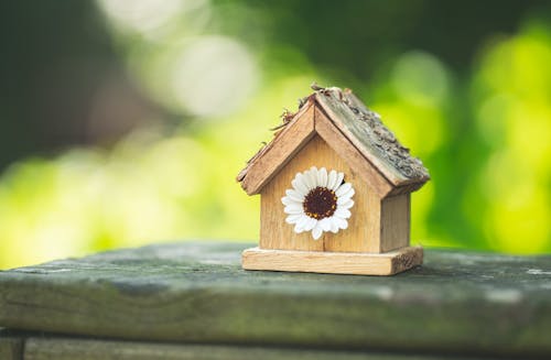 Flower on Small, Wooden Birdhouse