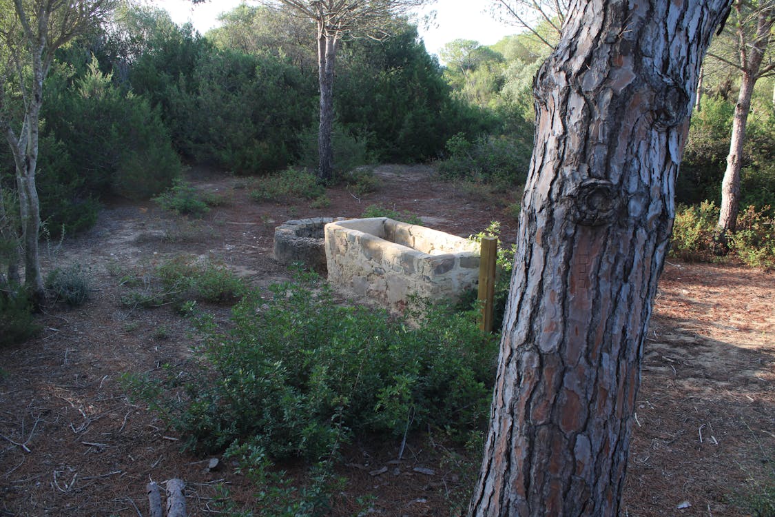 pocito del camino viejo de la Dehesa