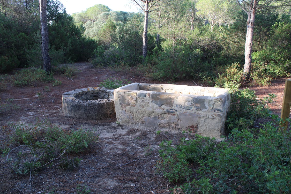 pocito del camino viejo de la Dehesa