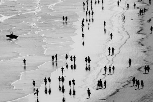Foto stok gratis bayangan, hitam & putih, laut