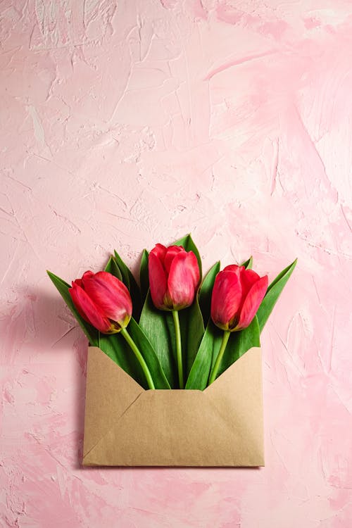 꽃다발, 봉투, 분홍색 배경의 무료 스톡 사진