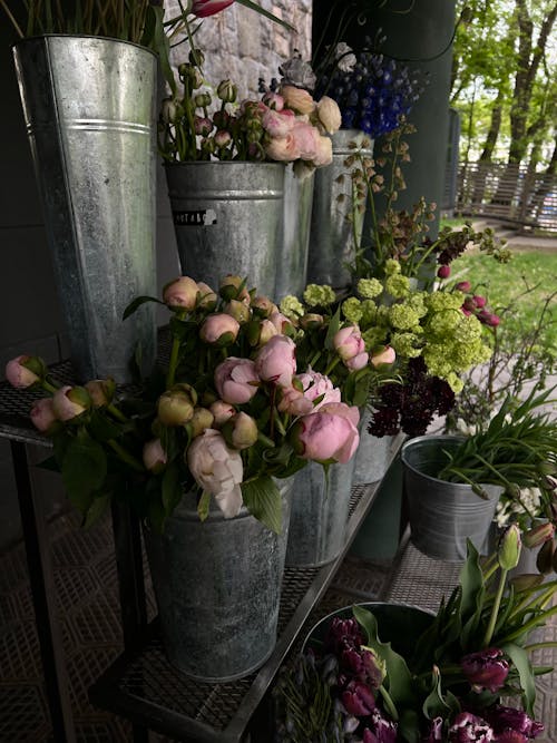 금속 양동이, 꽃, 꽃 가게의 무료 스톡 사진