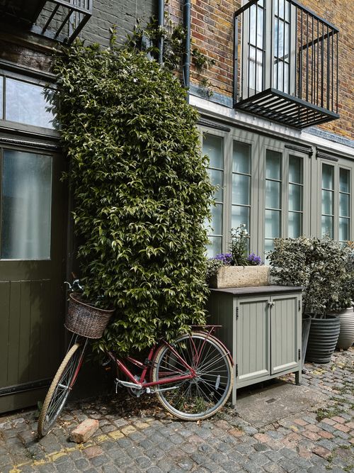 Free A vintage bicycle rests against lush foliage and a quaint building facade in a cobblestone courtyard. Stock Photo