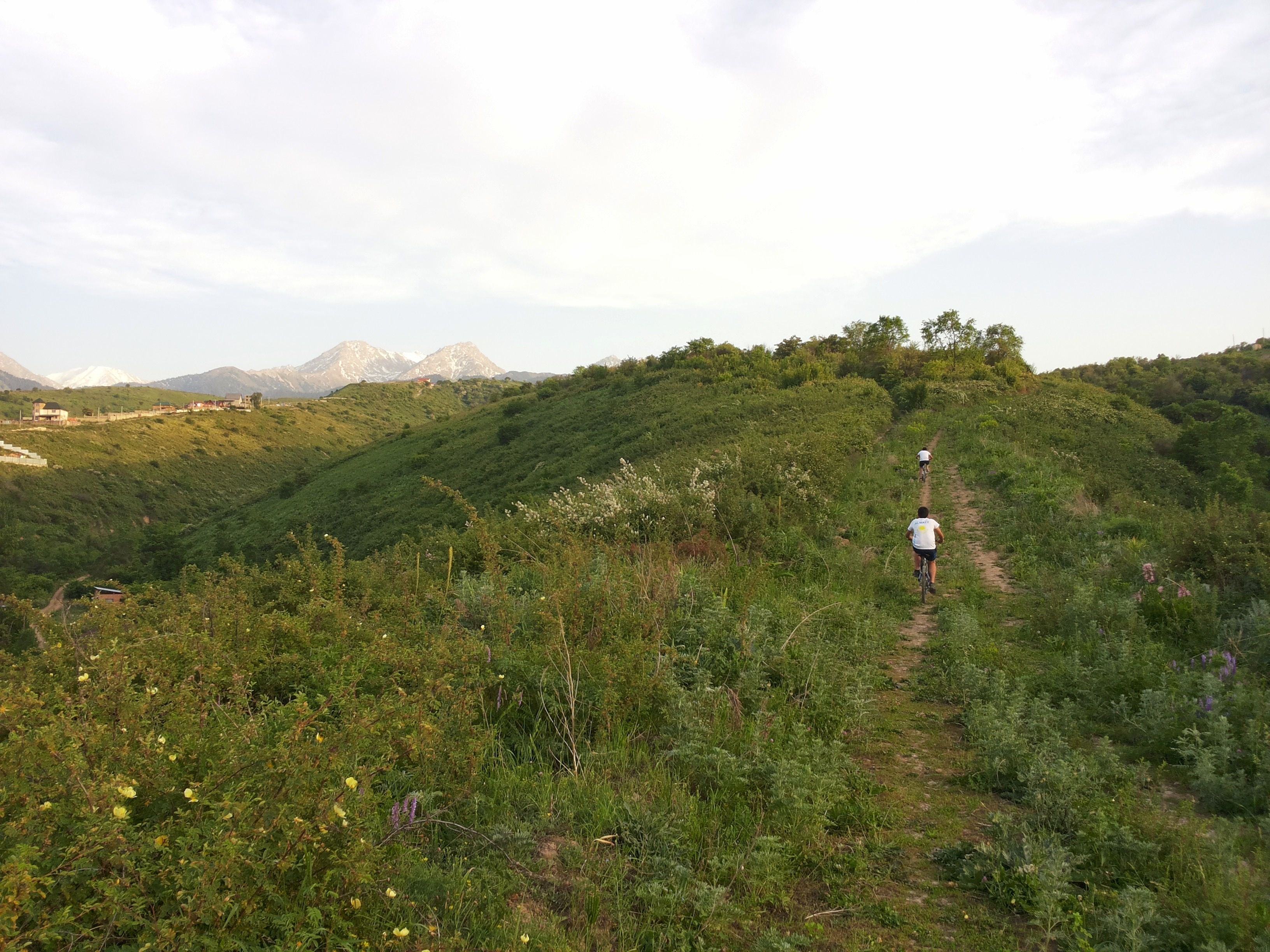 Two cyclists enjoy a scenic ride through lush Kazakh hills under a clear summer sky.