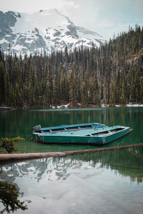 Darmowe zdjęcie z galerii z leśna przygoda, łódź, nie zmącona woda