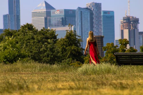 Free stock photo of greenwich park