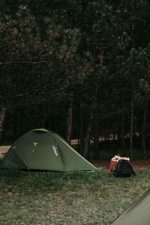 Free A green camping tent under dense trees in a tranquil forest at dusk. Stock Photo