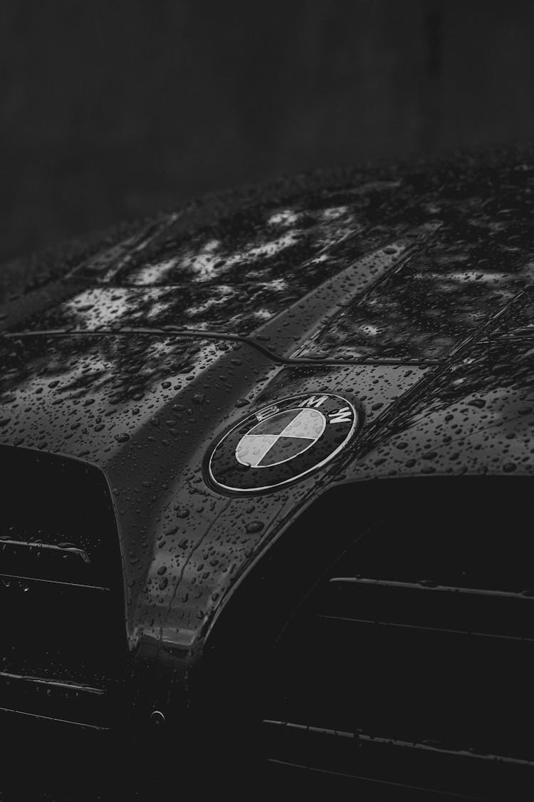 BMW Logo On The Hood Of A Car