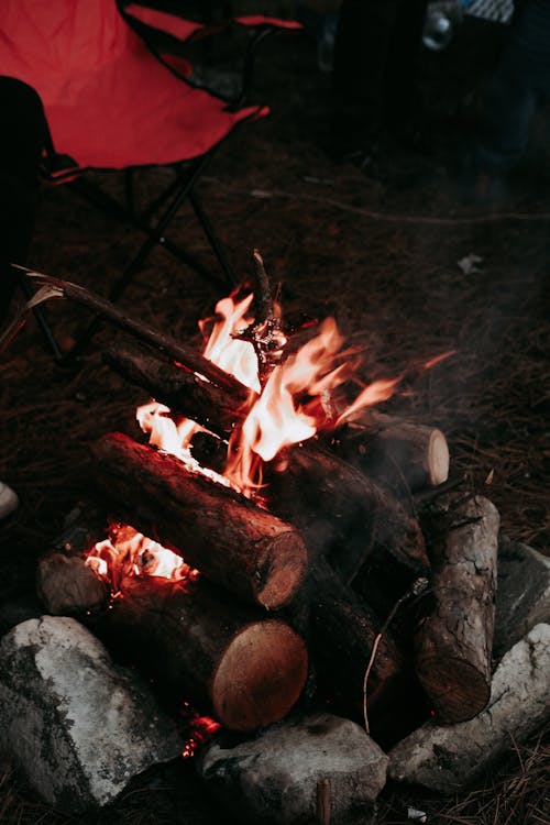 Photos gratuites de bois de chauffage, brûler, chaleur