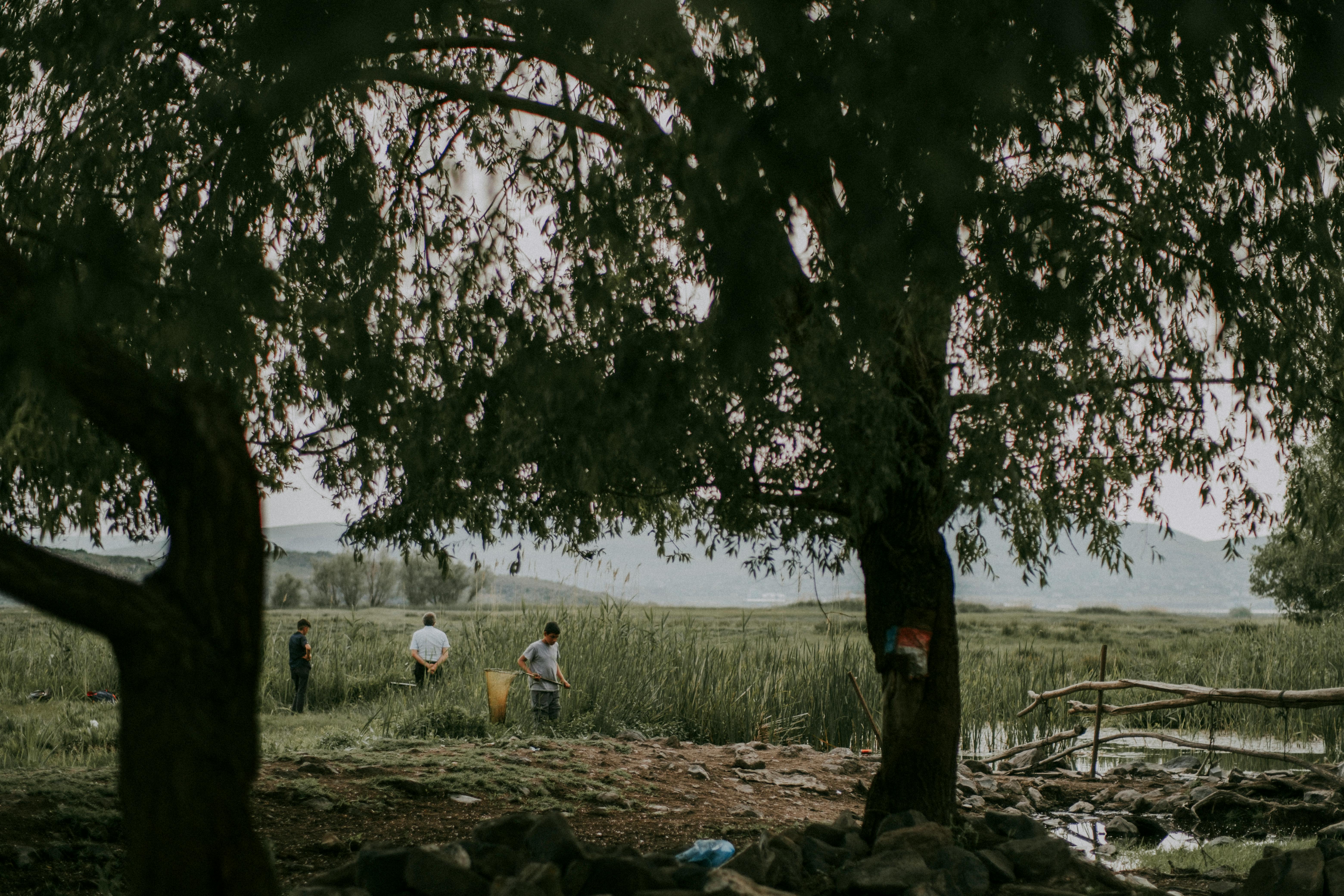 Framers Photos, Download The BEST Free Framers Stock Photos & HD Images