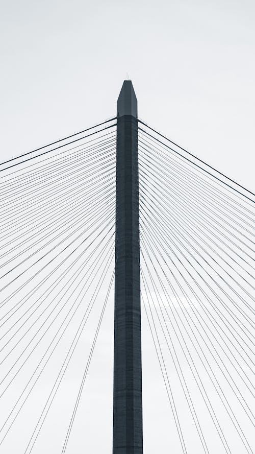 Ada Bridge in Belgrade