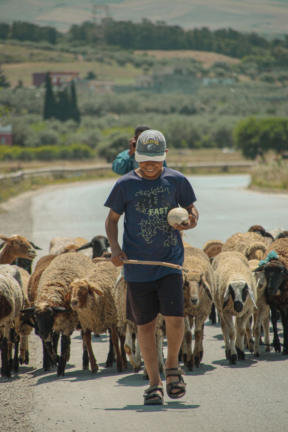 Shepherd Walking on a Road with Sheep · Free Stock Photo
