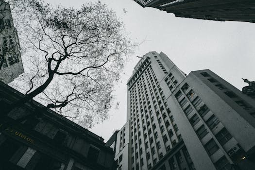 现代摩天大楼的低视角与一棵贫瘠的树木形成了城市景观的对比