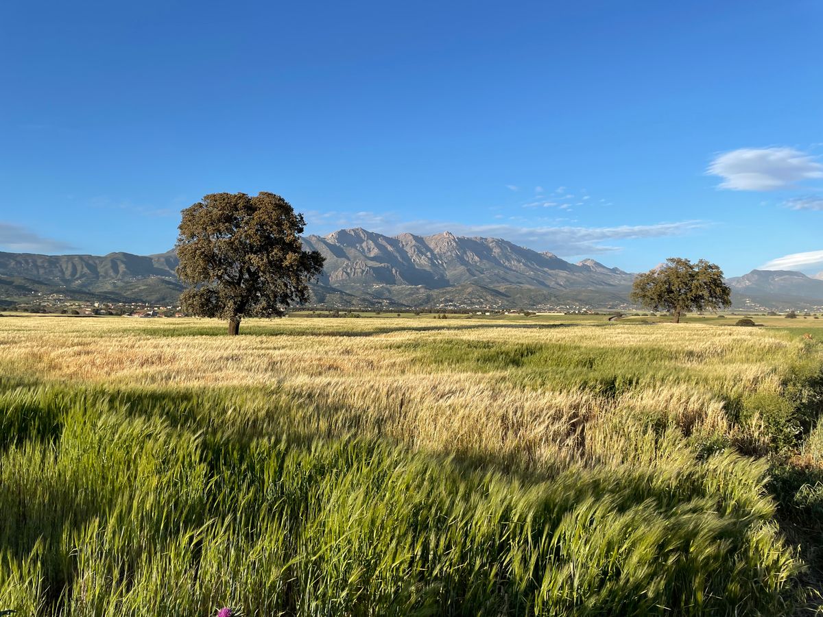Masías en Igualada