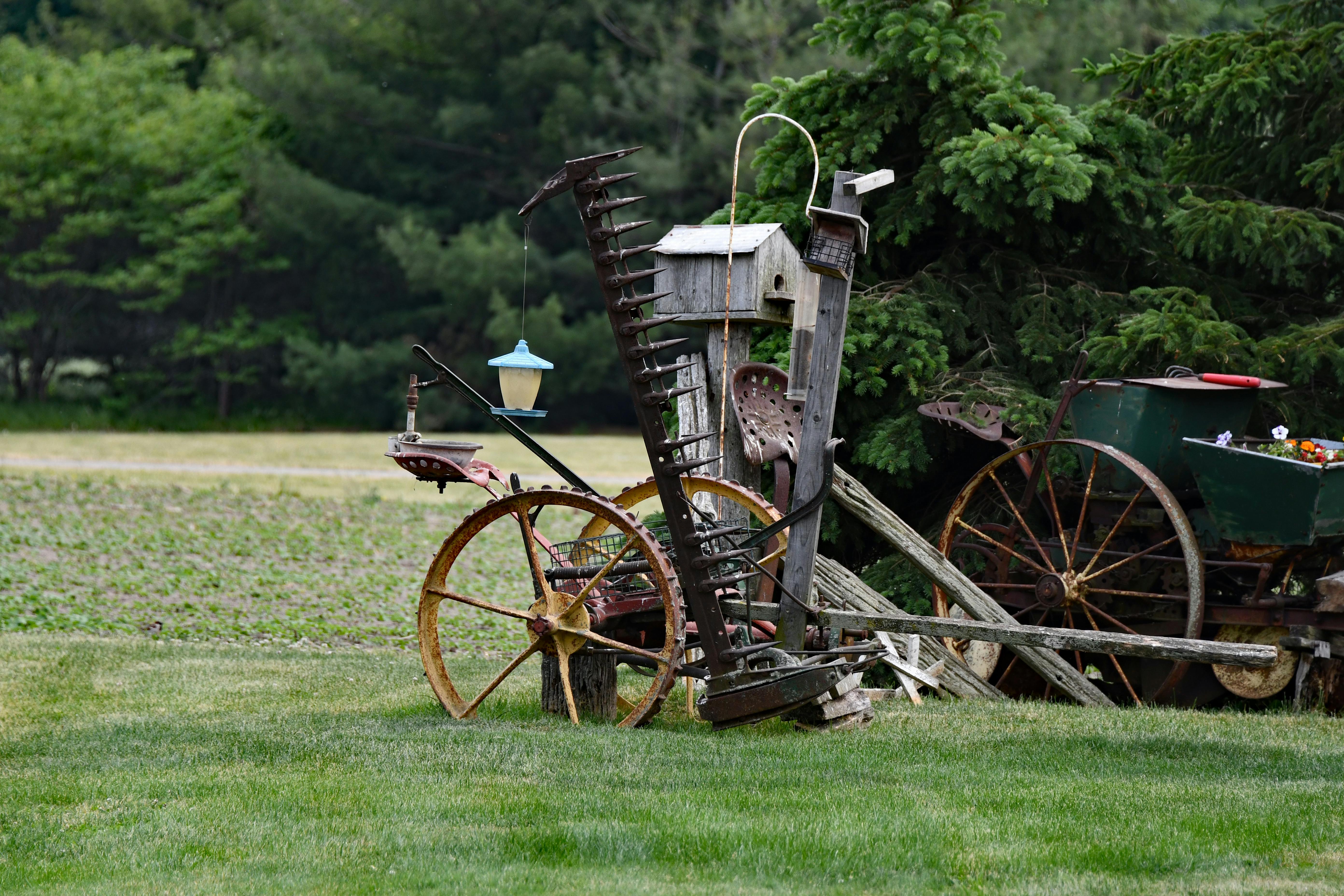 8 DeWalt Gardening Tools You Probably Didn't Realize Existed — Photo by Brian Forsyth on Pexels