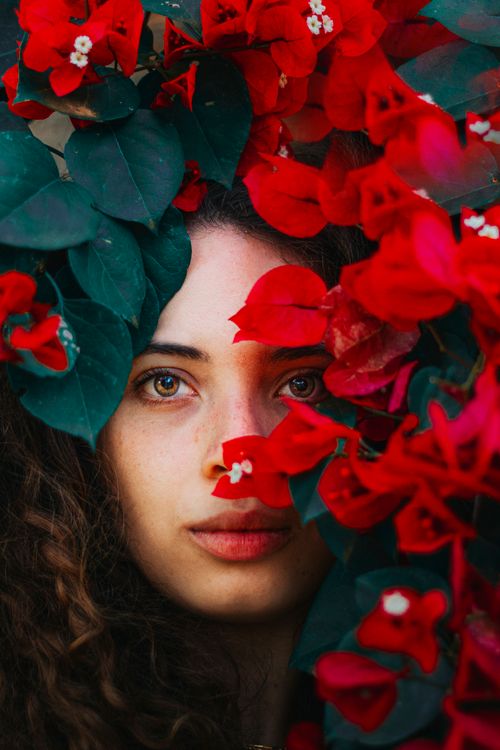 Free Stunning portrait of a woman surrounded by vivid red flowers and lush green leaves. Stock Photo
