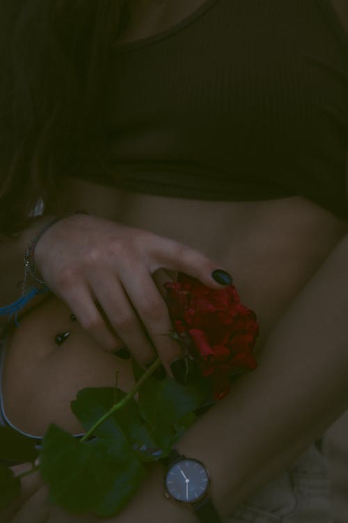 Woman Hand Holding Rose over Stomach
