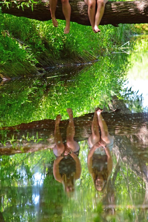 Free stock photo of creek, fallen log, friends