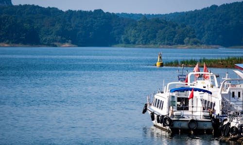 Water Taxi Moored in Pier