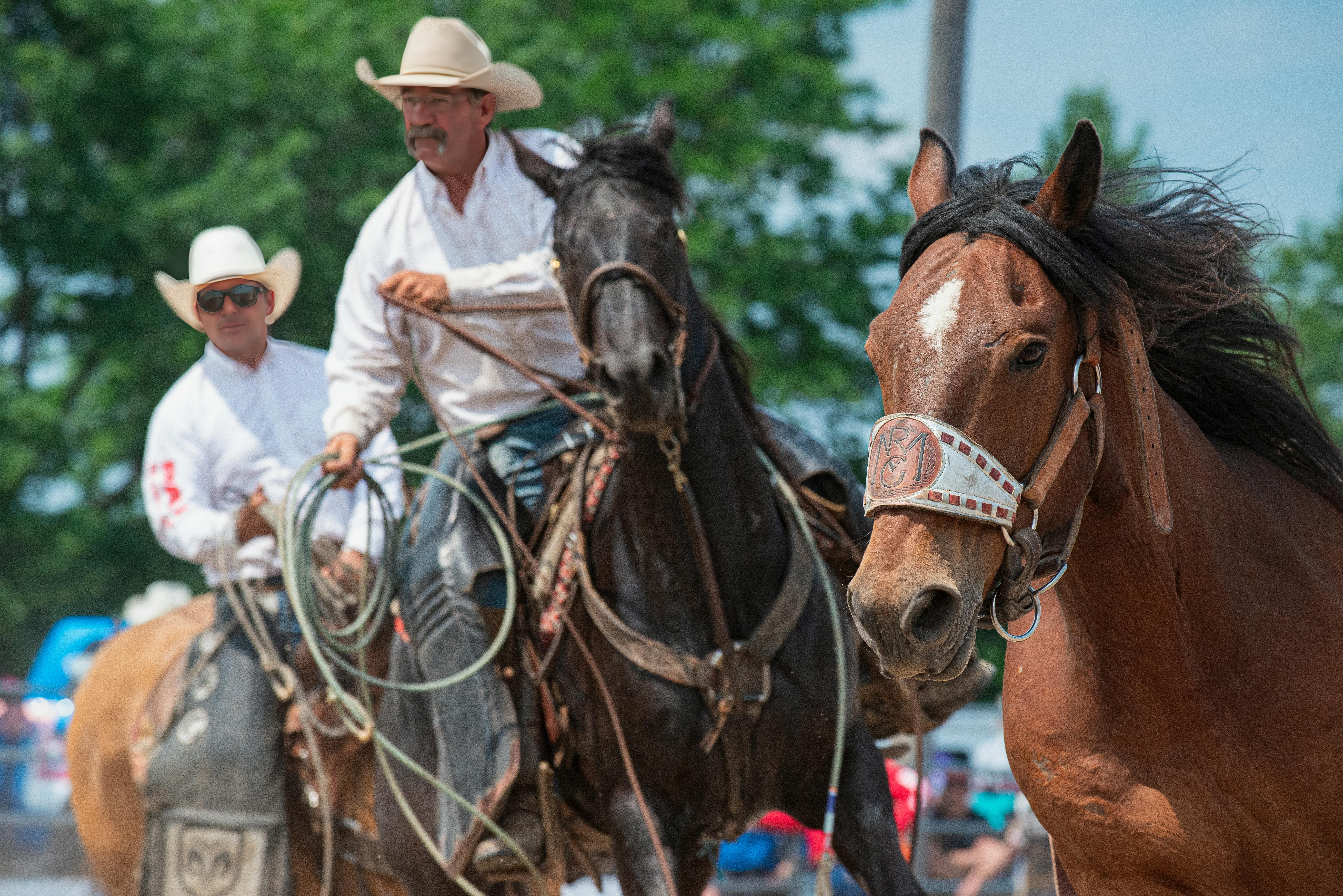 Stetson Poll: Republicans Lead in Florida 2026 Races, But Many Voters Undecided — Photo by @coldbeer on Pexels