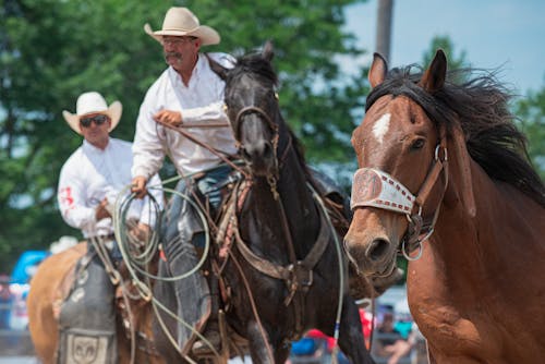 Cowboys Riding Horses