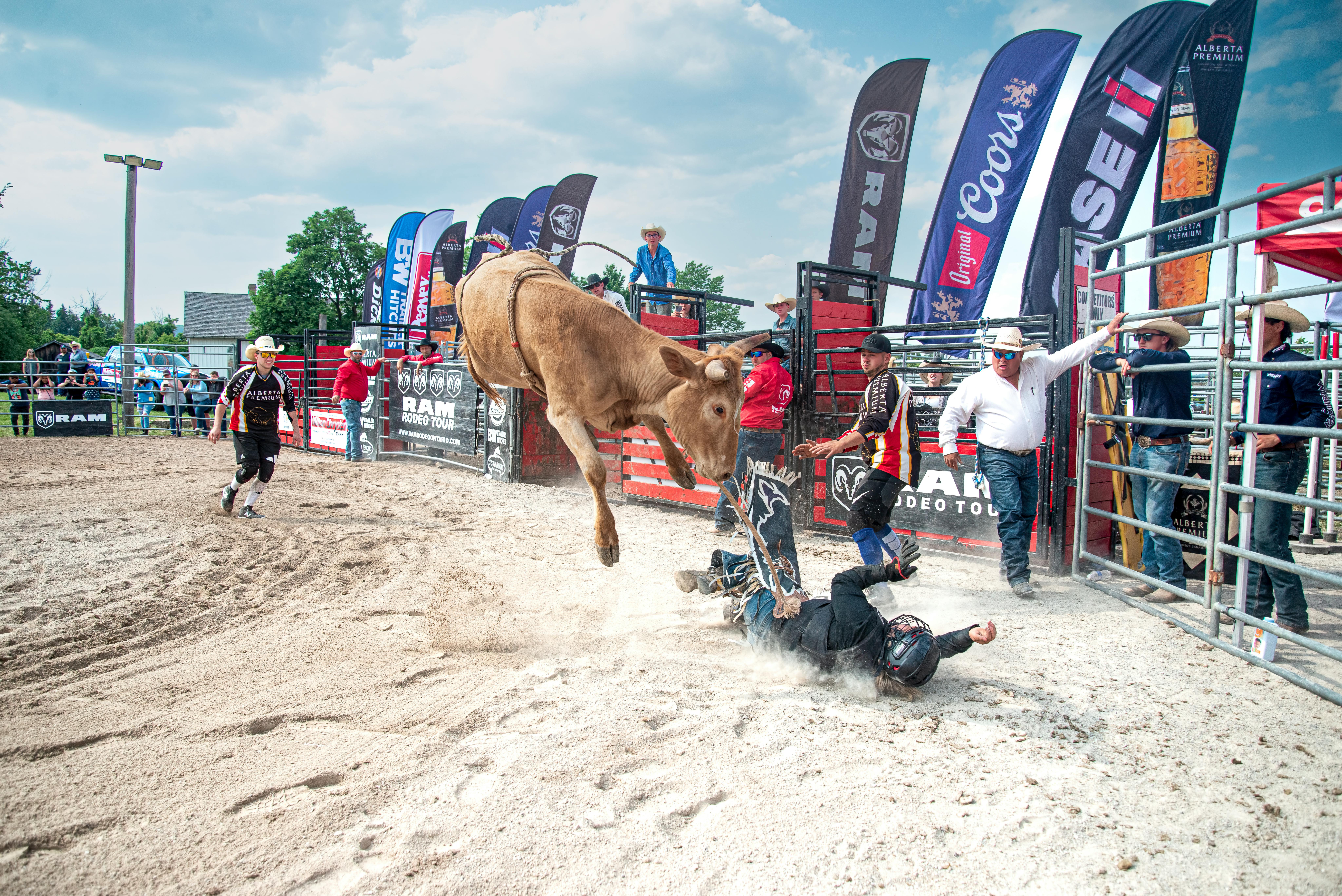 Bulls vs Jazz: NBA Live Stream Guide for Australian Fans 2026