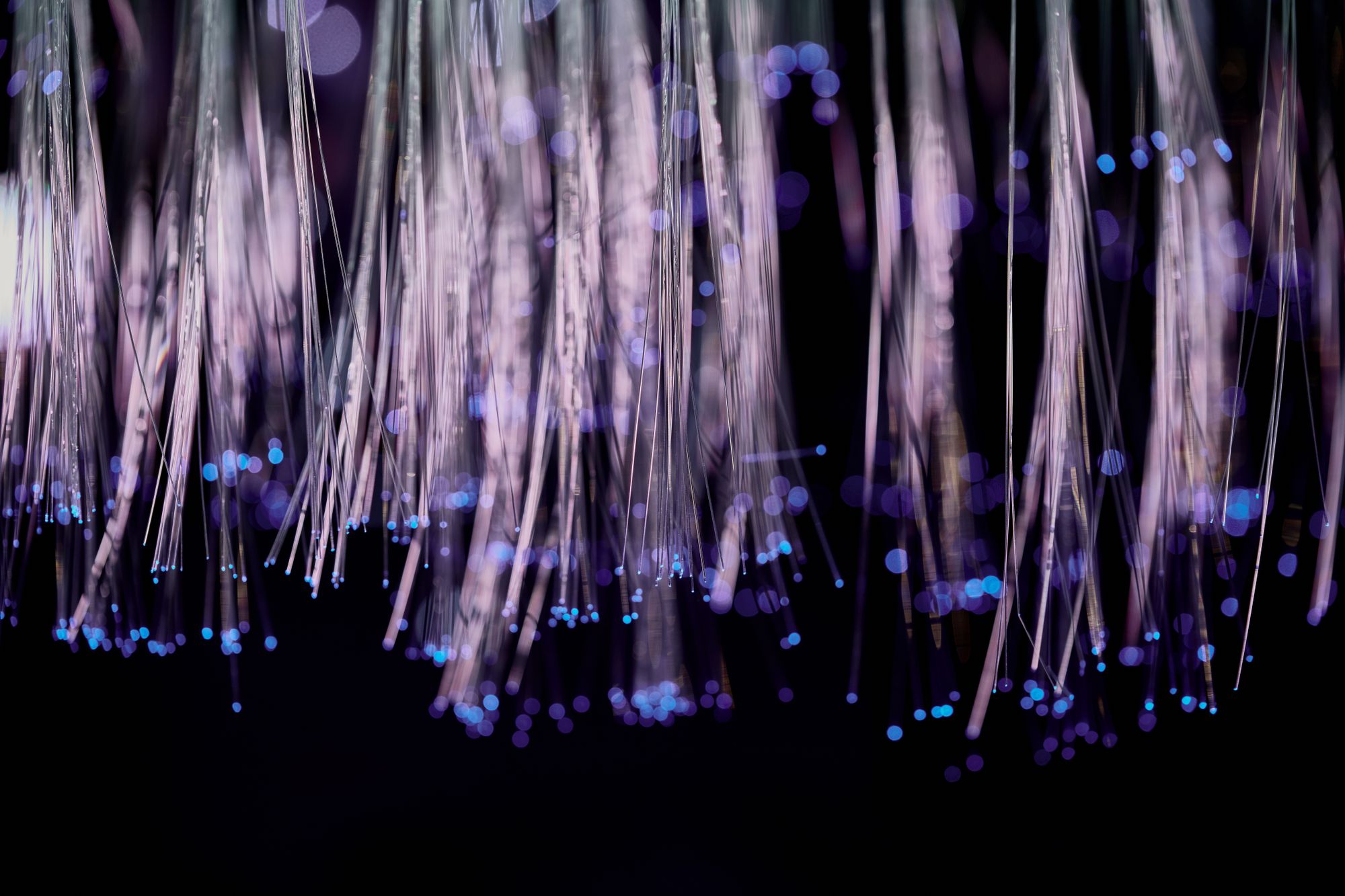 Hebras de fibra óptica iluminadas por luz azul en un entorno de laboratorio