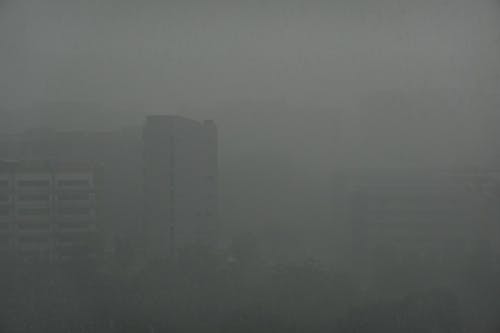 Free stock photo of 106 b depot road, ambient walking, bad weather