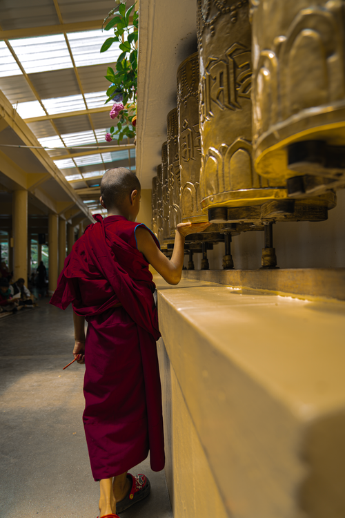 Free A young monk in red robes spins golden prayer wheels in a temple in Dharamshala, India. Stock Photo