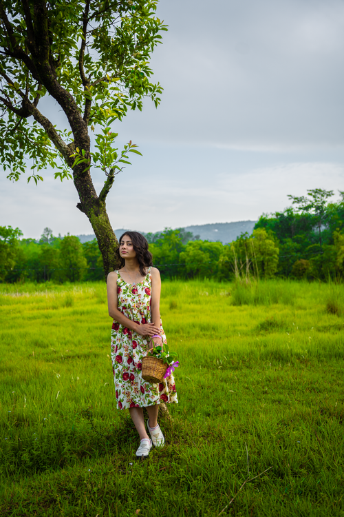 Free Woman wearing sundress holds a basket in a lush green field in Kangra, India, under a tree. Stock Photo