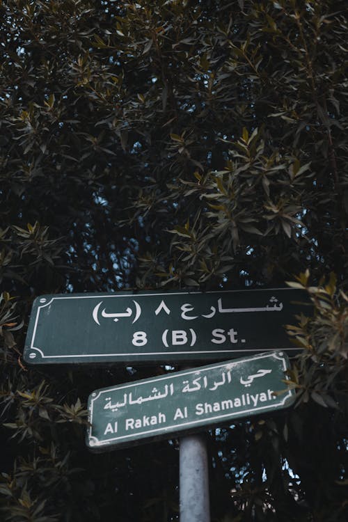 Directional Signs with Arabic and Latin Script 