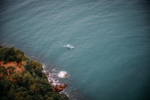 คลังภาพถ่ายฟรี ของ ชายทะเล, ต้นไม้, ทะเล