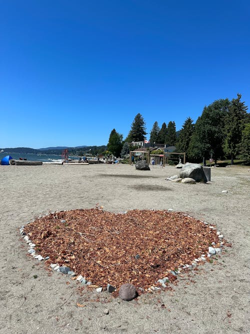 Ingyenes stockfotó gyönyörű természet, strand, szépség a természetben témában