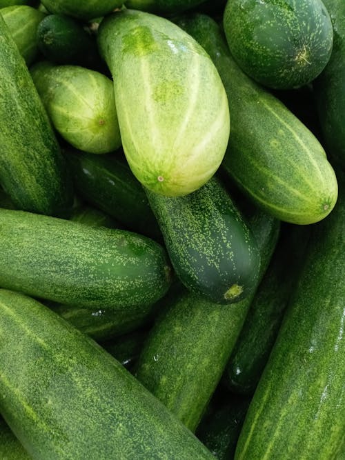 Close up of Cucumbers 