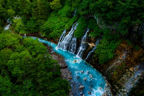 Безкоштовне стокове фото на тему «високий кут зору, водоспади, дерева»