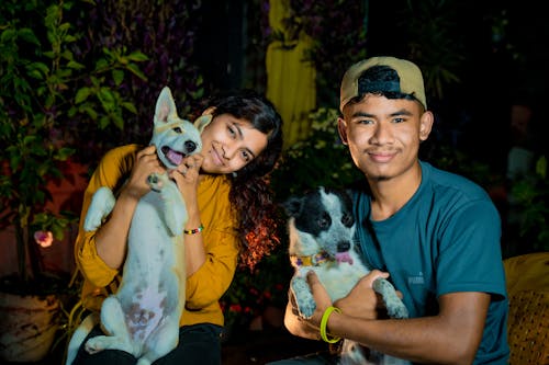 Young Woman and Man Sitting with Two Dogs in Garden at Night