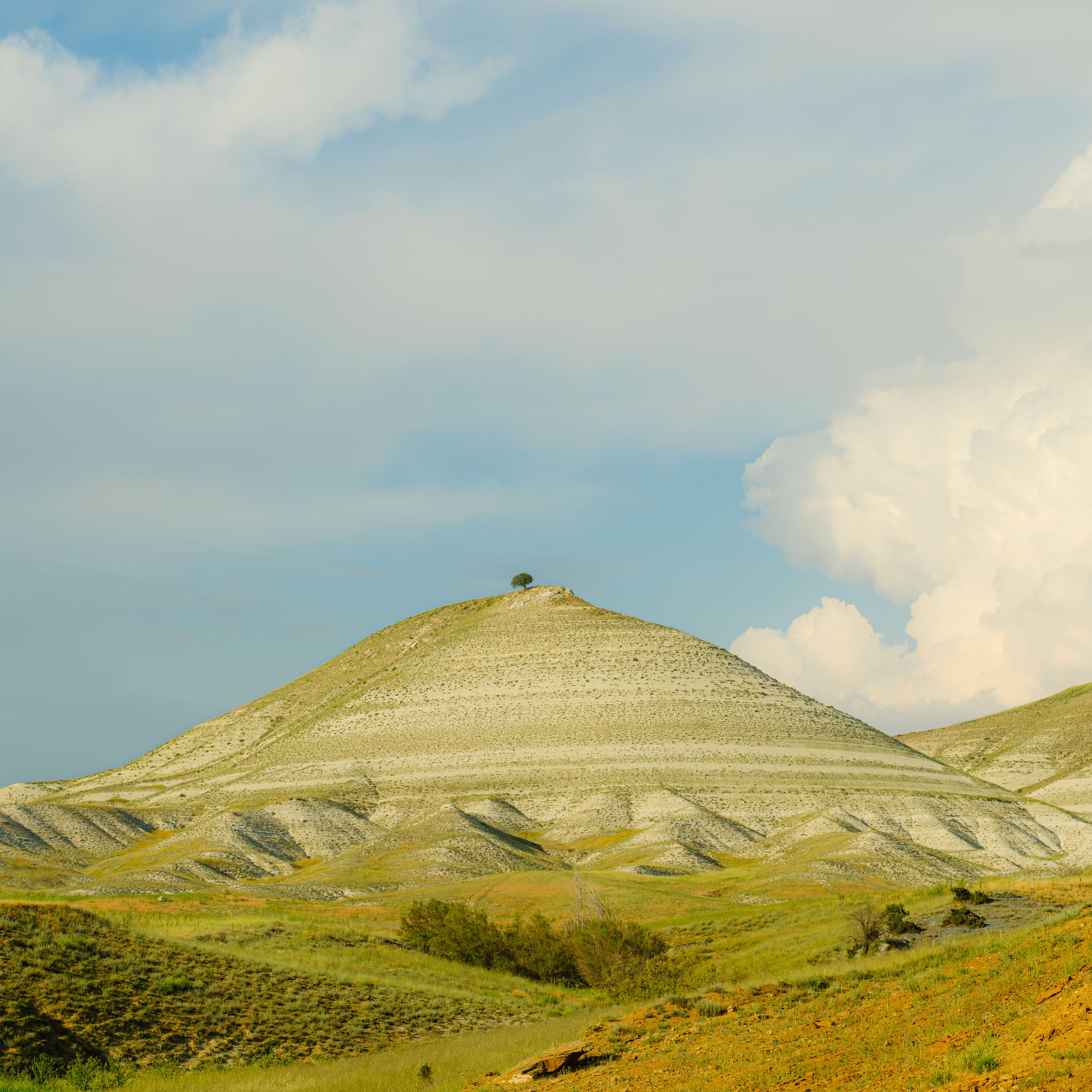 Clouds over a Green Hill with a Lone Tree on Top · Free Stock Photo