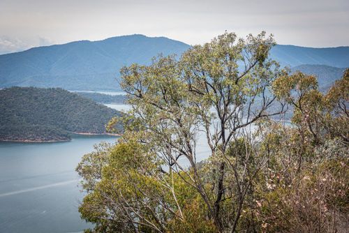 Free Aerial view of Eildon National Park's lush landscape and serene water body in Victoria, Australia. Stock Photo
